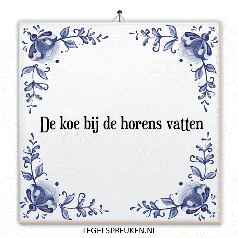 Humor Nl GIF by Tegelspreuken.nl