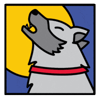 Nc State Wolf GIF by NC State University