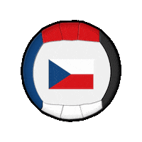 Ball Europe Sticker by Swiss Dodgeball