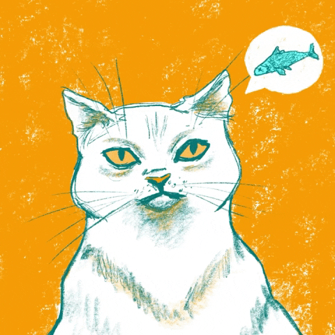 ohynny giphyupload cat illustration hungry GIF