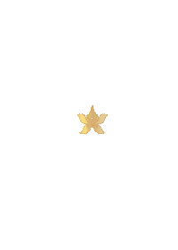 New Year Wherehkbegins Sticker by Hong Kong Airlines