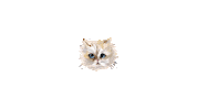 Cat Lipstick Sticker by paulandjoe_beaute