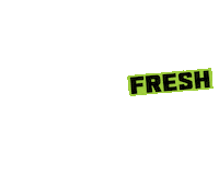 ShopJungleBox colorful shine fresh clean Sticker
