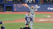 Celebrate World Series GIF by MLB