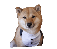 Dog Calico Sticker