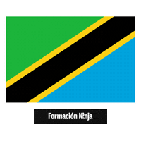 Flag Bandera Sticker by Formación Ninja