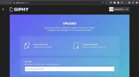 domainsandchampagne giphygifgrabber GIF