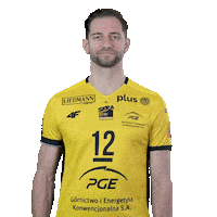 Volleyball Gregor Sticker by PGE GiEK Skra Bełchatów