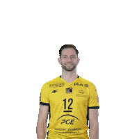 Volleyball Gregor Sticker by PGE GiEK Skra Bełchatów