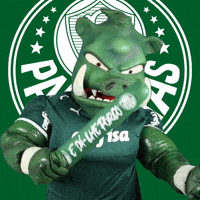 Angry Soccer GIF by SE Palmeiras