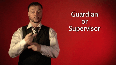 sign language guardian GIF by Sign with Robert