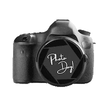 Real Estate New Listing Sticker by Rochelle Fennell