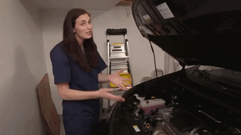 GIF by PBS Digital Studios