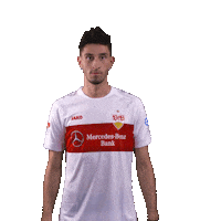 My Number Furchtlos Und Treu Sticker by VfB Stuttgart
