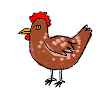 Chicken Hen Sticker