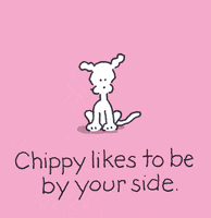 GIF by Chippy the dog