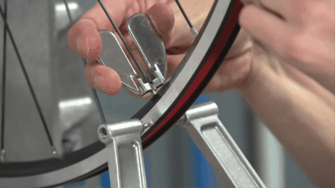 Image in a post titled 'how to true a fixed gear bike wheel: center your spokes like a pro' | giphy | fixed gear focus Image in a post titled 'how to true a fixed gear bike wheel: center your spokes like a pro' | giphy | fixed gear focus