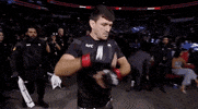 Demian Maia Sport GIF by UFC