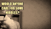 Sean Flanagan Food GIF by FoilArmsandHog