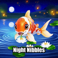Koi Fish Dinner GIF by TheConfishius