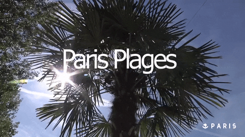 Summer Sun GIF by Que faire à Paris