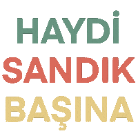 Sec Erdogan Sticker by Miyase