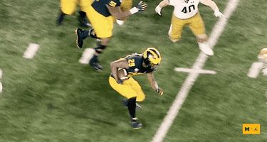 Go Blue Michigan Football GIF by Michigan Athletics