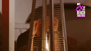 Ex On The Beach Nick GIF by MTV Nederland