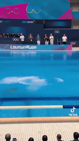 paolog67 giphyupload cat dive diving GIF