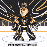 Ice Hockey Nhl GIF by Doge Pound