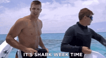 New England Patriots Bikini GIF by Shark Week