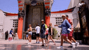Beverly Hills Cine GIF by Movistar+