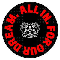 Bayer 04 Football Sticker by Bayer 04 Leverkusen