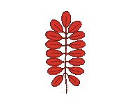 Fall Autumn Sticker