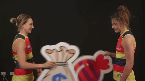 lugg GIF by Adelaide Crows