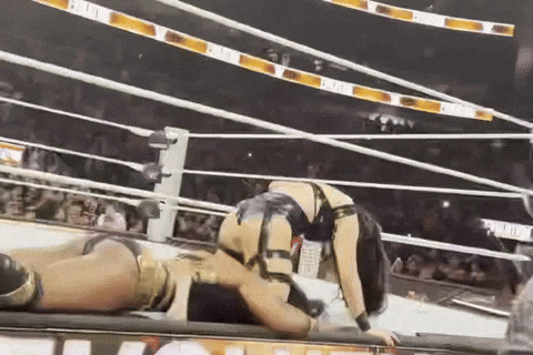 Metro Boomin Wrestling GIF
