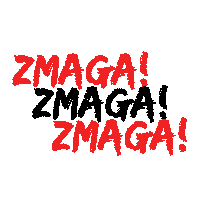 Zmaga Win Sticker by ZRKVelenje