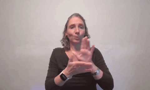 Asl Teacher GIF