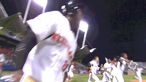 netherlands walks GIF by MLB