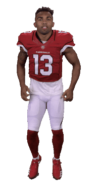 Arizona Cardinals Stickers Sticker by NFL