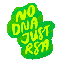 South Africa Fifa Sticker
