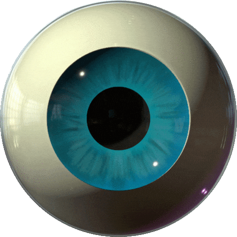 Acid Trip Love Sticker