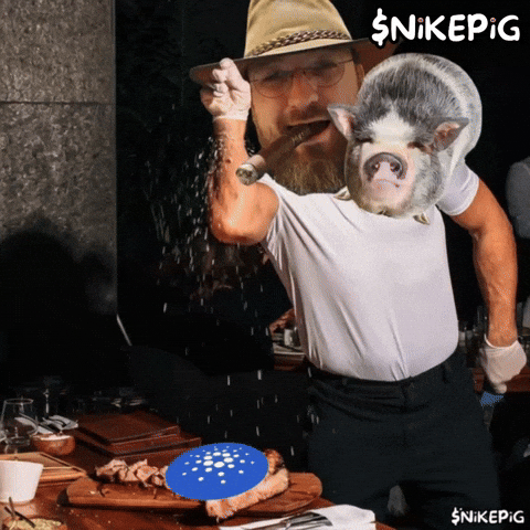 Salt Bae Cooking GIF by Nikepig