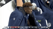 Regular Season Smh GIF by NFL