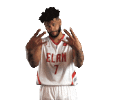 Celebration Mathis Sticker by Elan Chalon