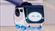GIF by Kiwibot