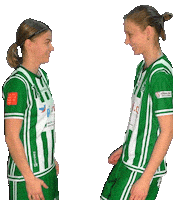 Sport Floorball Sticker by FbŠ Bohemians