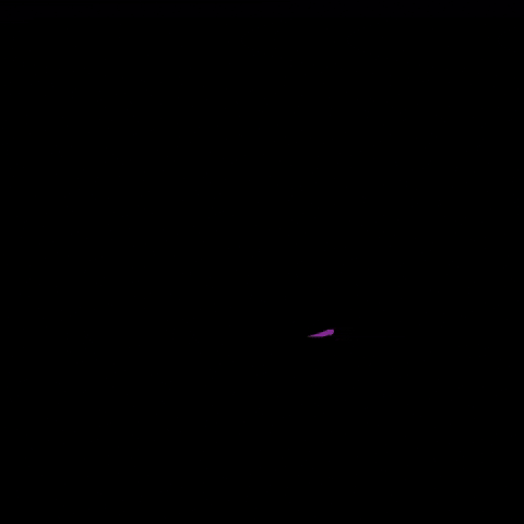 combogo_comunicacao giphyupload marketing cafezinho cafe brasil GIF