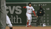 Regular Season Sport GIF by MLB