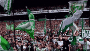 Matchday Spieltag GIF by SV Werder Bremen